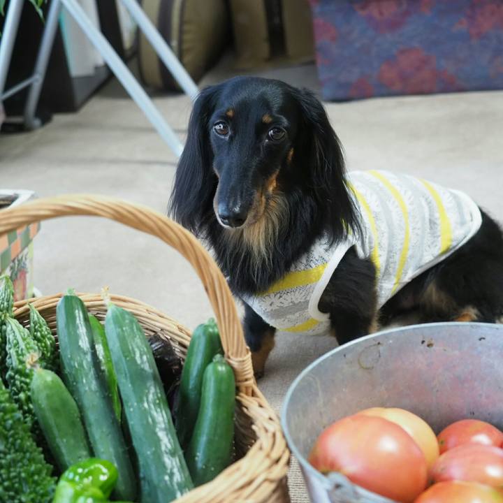 Abe9bb1b 834e 44ba 9cd1 9535d4b1df22 1563943926043