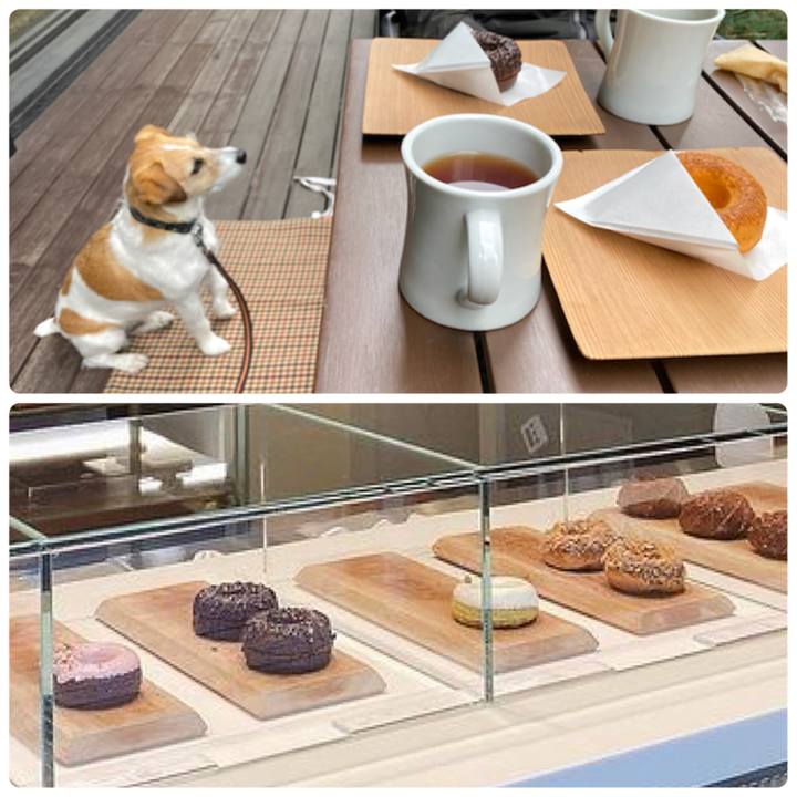 Abe9e663 3fd6 4312 b2b7 bc2d78334e6b 1615298335044