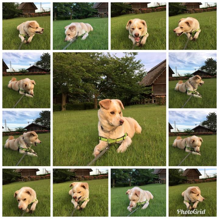 Abea4555 16e0 41f6 9cf4 9f37153066fe 1526813865553