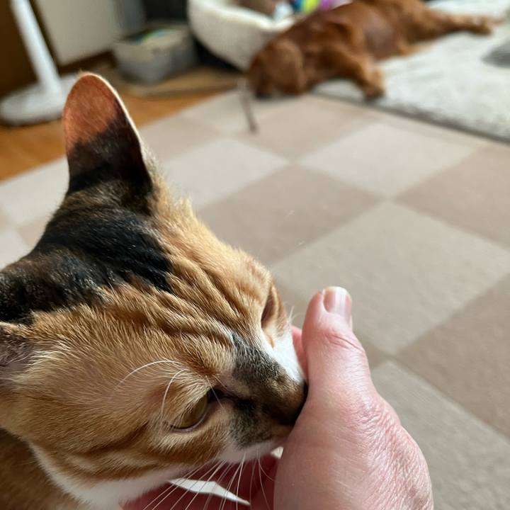 Abea751e c3a7 41fa a087 f2c660ed8563 1676239841761