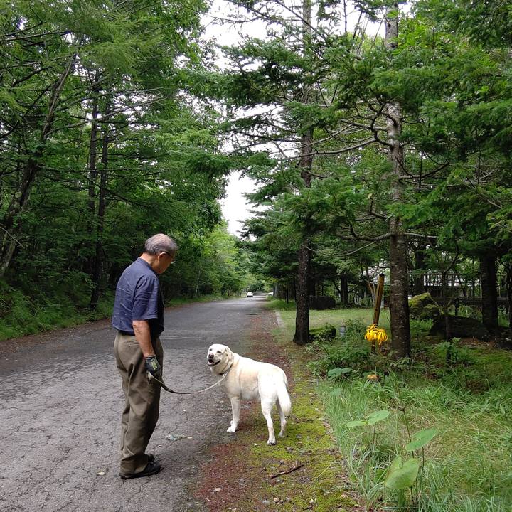 Abea8e9c ba18 4b40 8754 8d07cccf3857 1629266587478