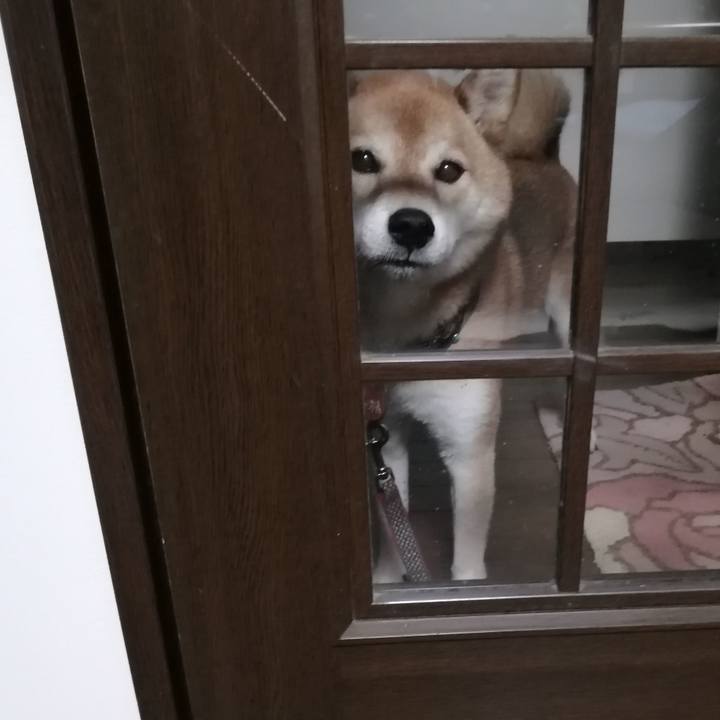 Abea9159 1c39 4679 aaaf 5829bb35c2b0 1660726543252