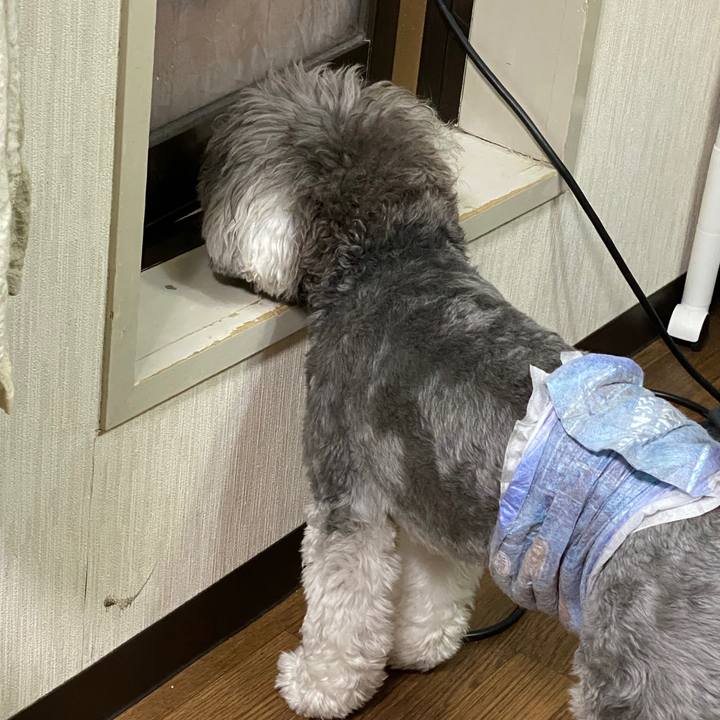 Abeb4757 8655 4d69 b2f1 7a15e8a706da 1598540333993