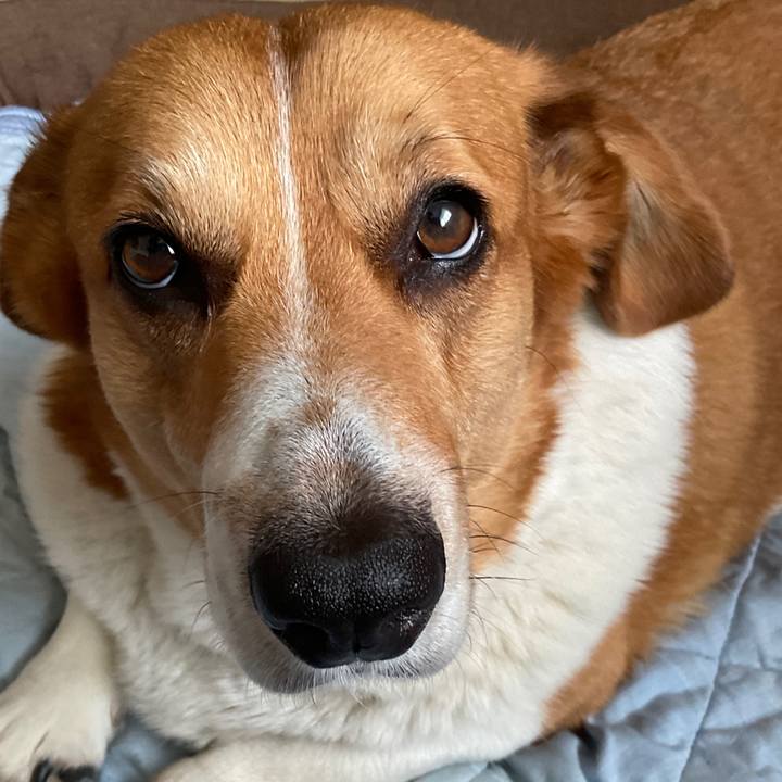 Abeb4800 c72c 4f46 8b28 214b36b0211d 1751080245745