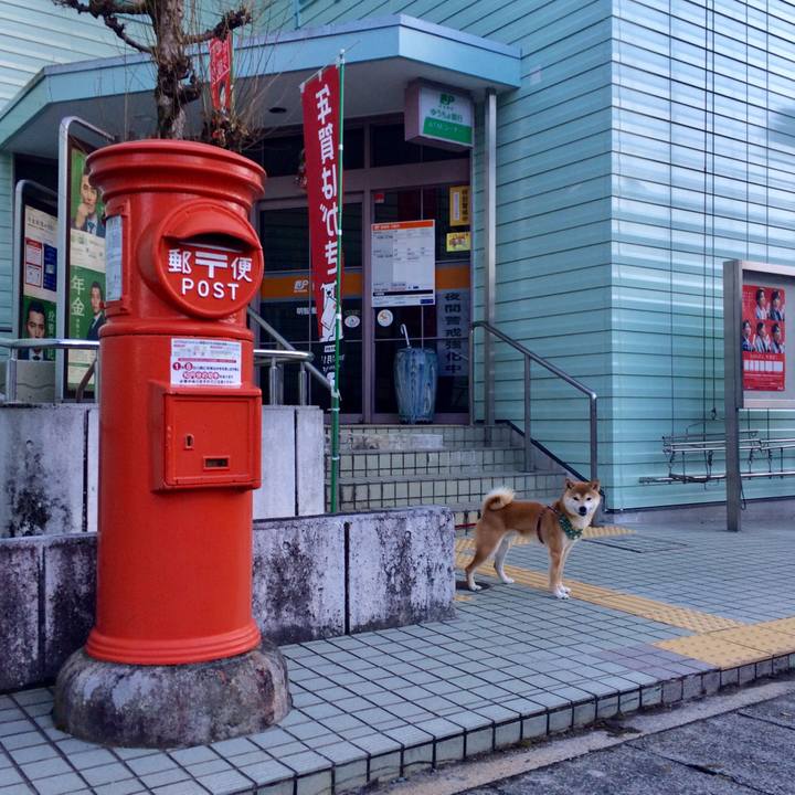 Abeb5612 ffcc 4c90 a243 4f737bc8bcfa 1514966977673