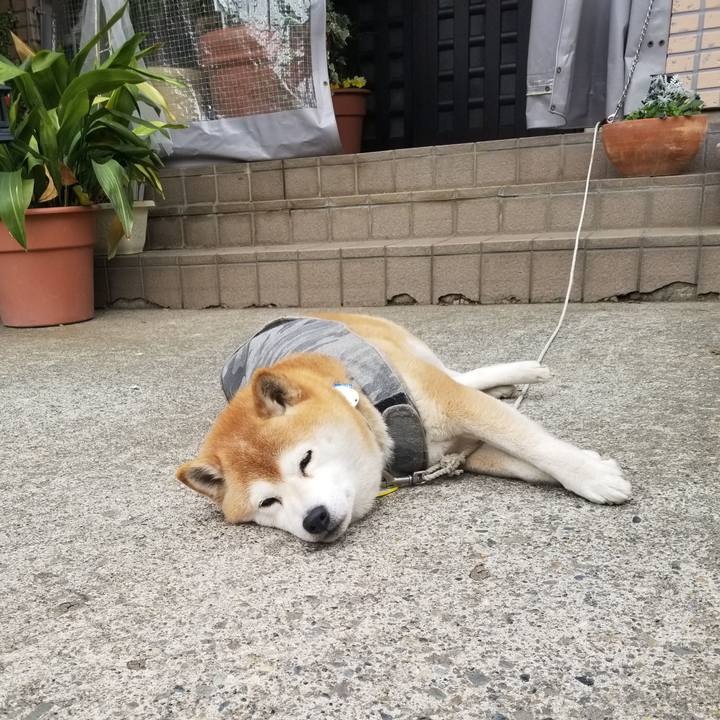 Abeb58ff 41e3 4958 892b 1f253392ef3b 1648537835673