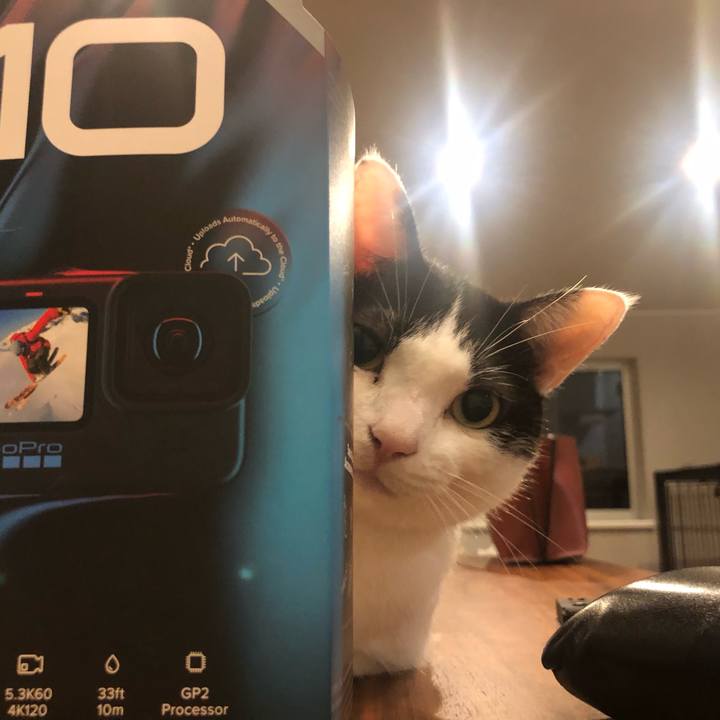 Abeb6a53 e2f5 49d7 b35b 81b3a5104e82 1633263025711