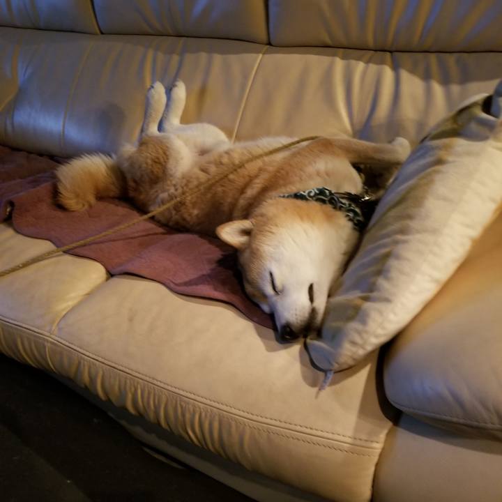 Abeb710c c8e7 497f ac31 5f7cc56bc5f5 1702213196853