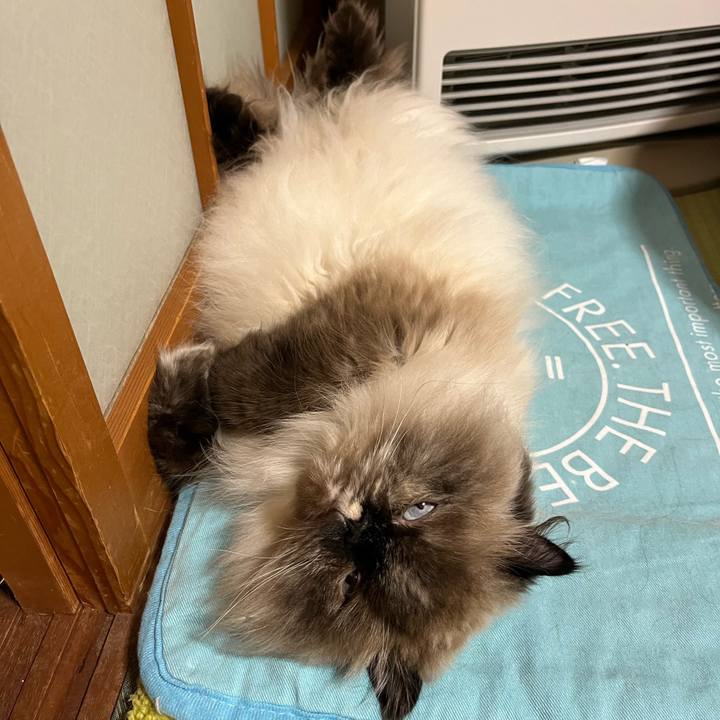 Abebdfce bde7 491d ba88 7122f68573a8 1718716438510