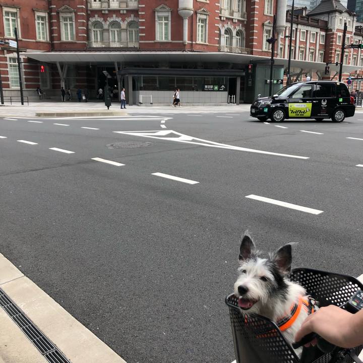 Abebf146 92fc 4e12 ba5f 60a3c1e6164b 1568593961826