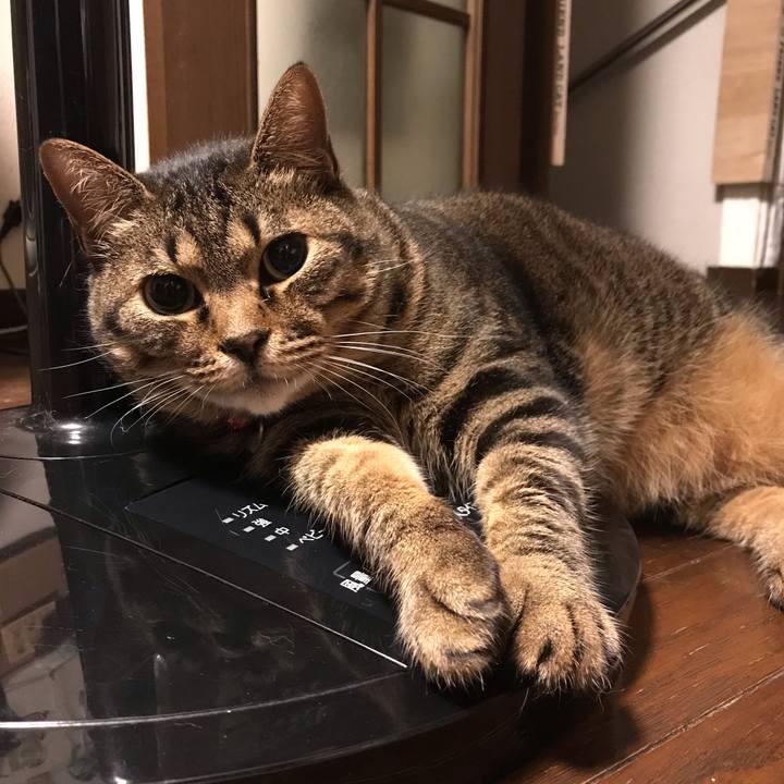 Abebf2c1 dcfc 4ed1 ac11 7e7f456ecb70 1624278565822