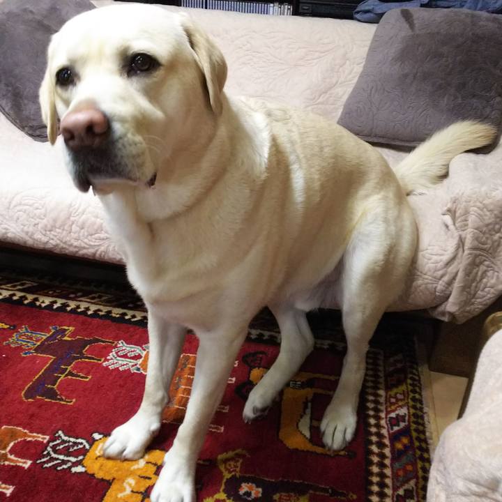 Abec3f95 07f2 4442 94ef 82a6d9c4bc98 1585048089638