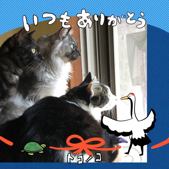 Abec4804 f73e 4ae1 a536 27ce4927c709 1727080148674