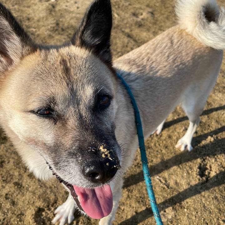 Abeca313 092a 4b2b 8d4f 727aafbadf3c 1697633486994