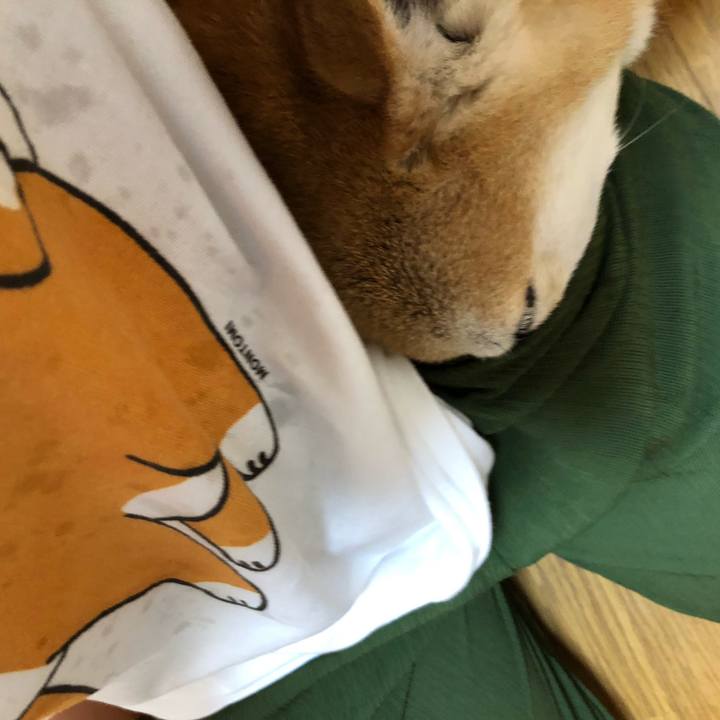 Abecb14c b020 49a6 ab8a d777e1ff1083 1596359046351