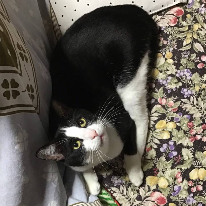 Abecb2eb e3ce 4493 90cb 79c79b21ea58 1680871673733