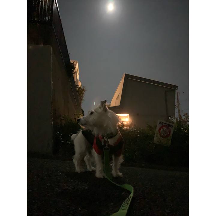 Abeccfcb 03ea 4ec4 9f2a 90204dbe84ab 1604144752995