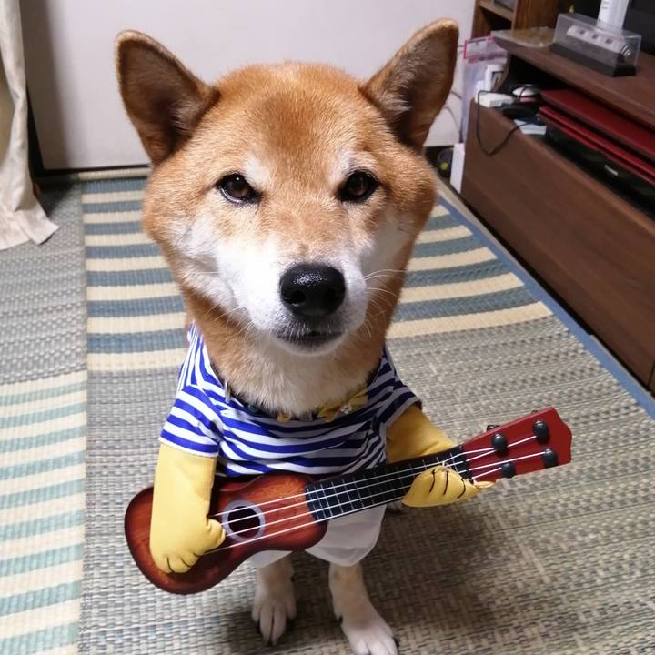 Abecdf2c f621 4118 9eb6 90964e1eb179 1602229014104