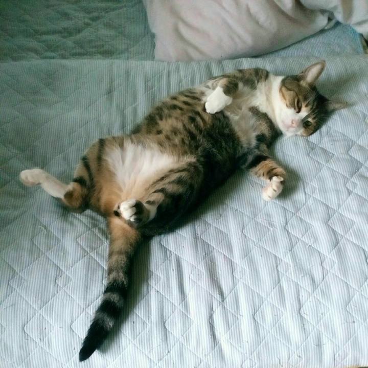 Abeceaf5 c988 4956 adca 6723e69f0712 1565850429242