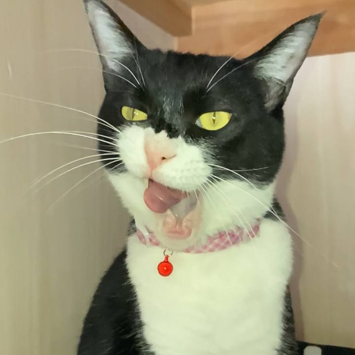 Abed3b69 6e2a 4238 86ee f09cddc9681c 1616382831572