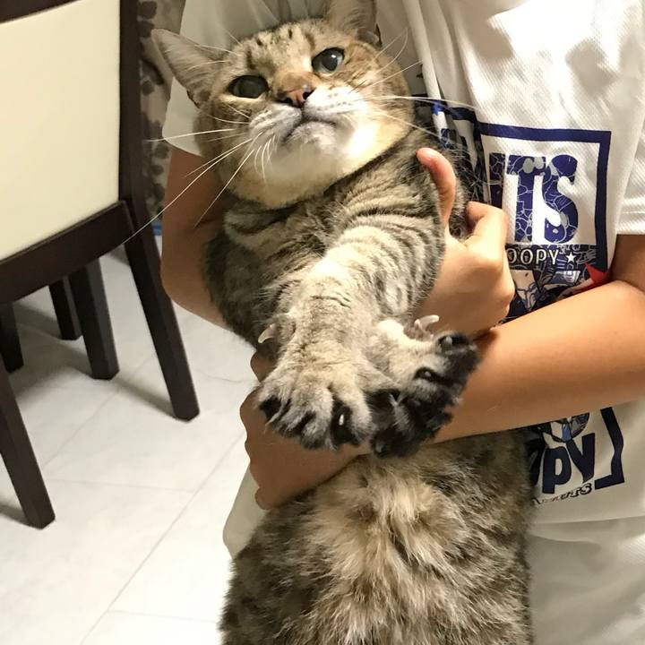 Abed5ce1 15ce 498b b0ca 982e8f5b28df 1599540026832