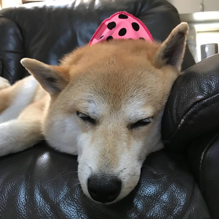 Abedc5d7 1d61 4078 aab9 6925b056aba5 1526890288472