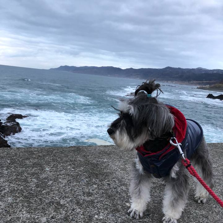 Abee2344 8b0c 4bb9 b46f e5ab0115a944 1515322082925