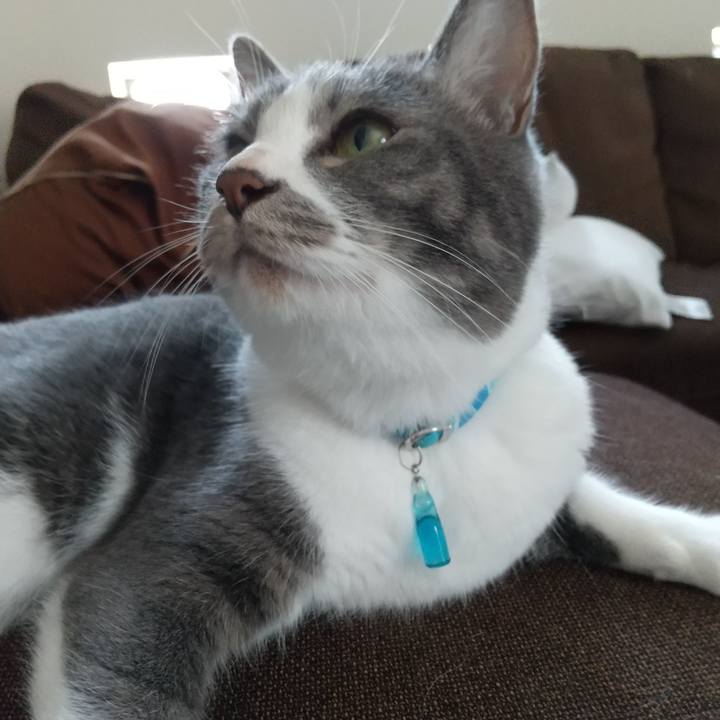 Abee648d fe2c 4a71 b947 c4a791ee3cb4 1630116979109