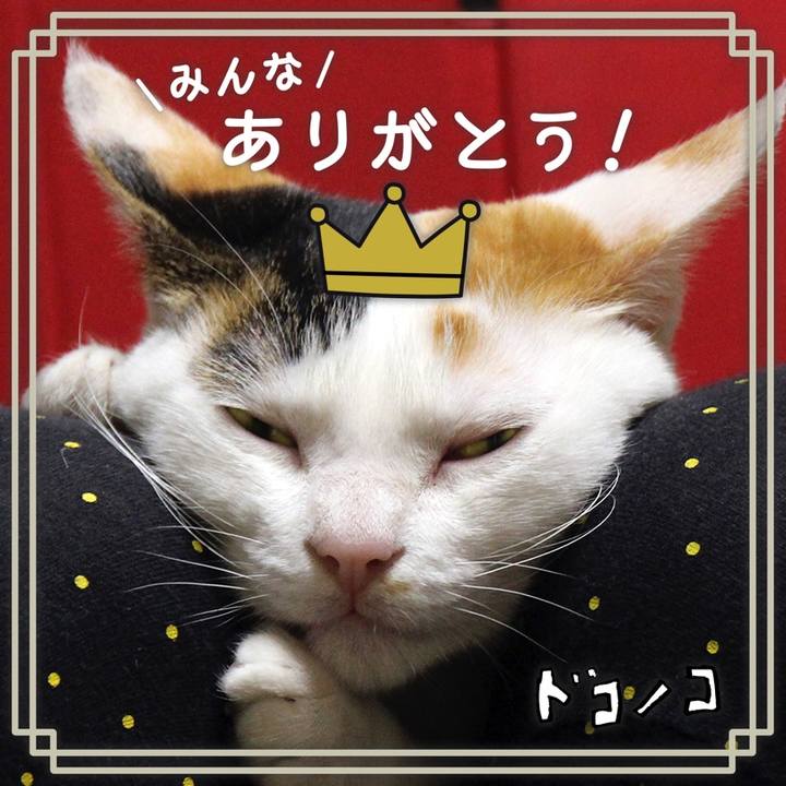 Abee6a5a 9df3 4544 b53d faadd044cfd9 1622867034878