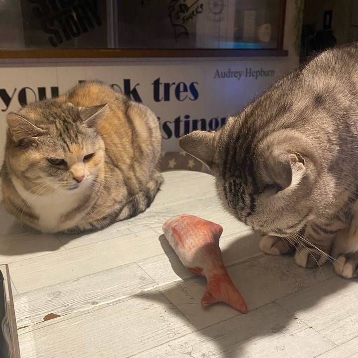 Abeebef7 8d6c 42e5 9e85 b21311867c42 1707052573333