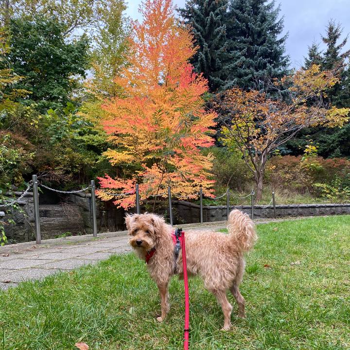 Abeee78d cda9 4d8f 9566 d4e2f1188c77 1665787185973