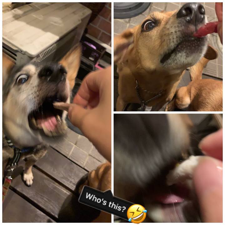 Abef1d86 0ca5 490d b566 d49d24d9c312 1571483458229