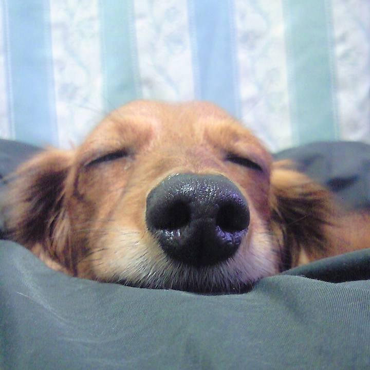 Abef269e d9b0 42ed 80dc 693b4f67b2ce 1539021478804