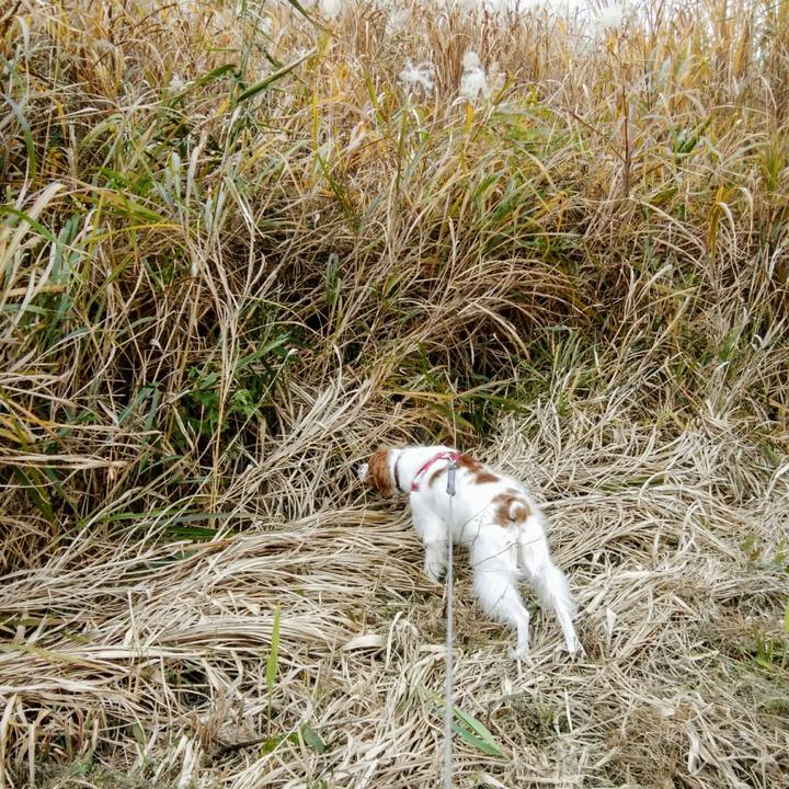 Abef5998 5a88 4e8f b6ec 290195d96023 1543222462816