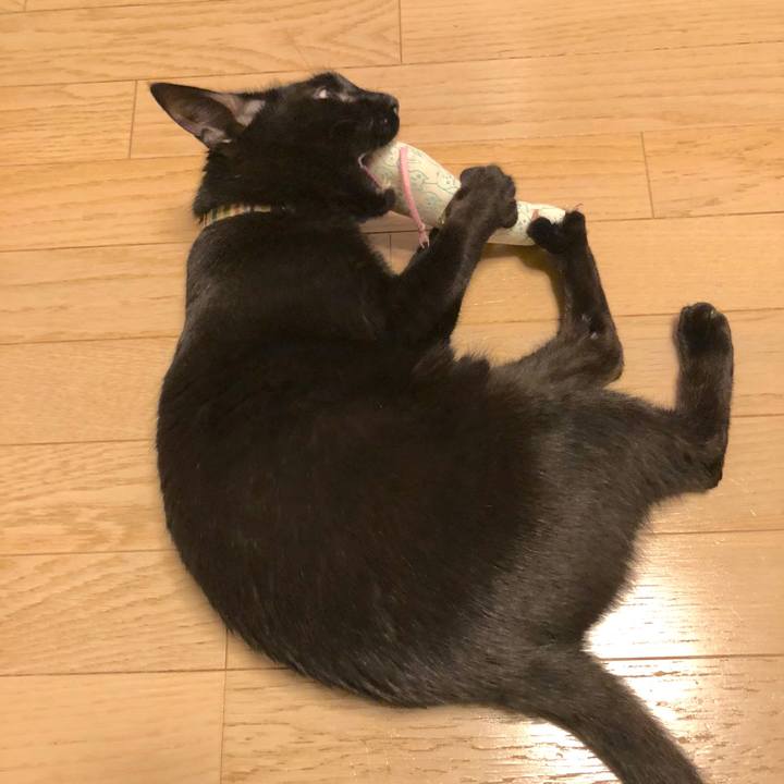 Abefbed3 c67e 4a6d 937c 8c1c466d62b0 1524060950293