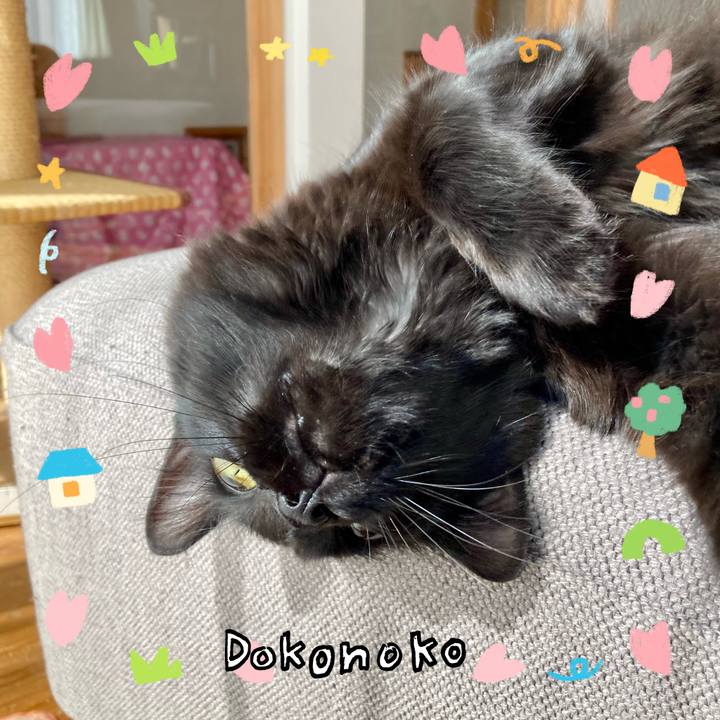 Abefd366 c15c 4cd1 b3c9 48f0d2ecf1f8 1741085078542