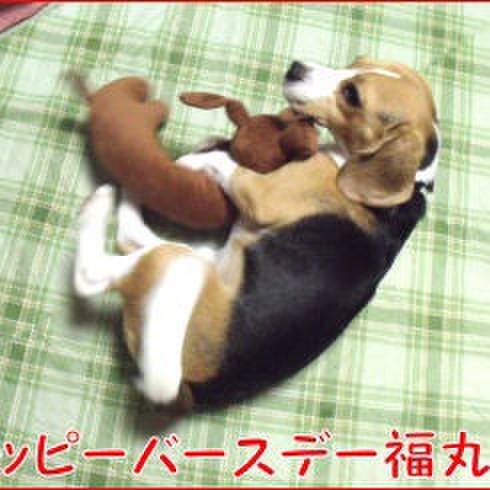 Abefe03a 04d9 4440 bad6 eeb9b957b6ee 1696378313100