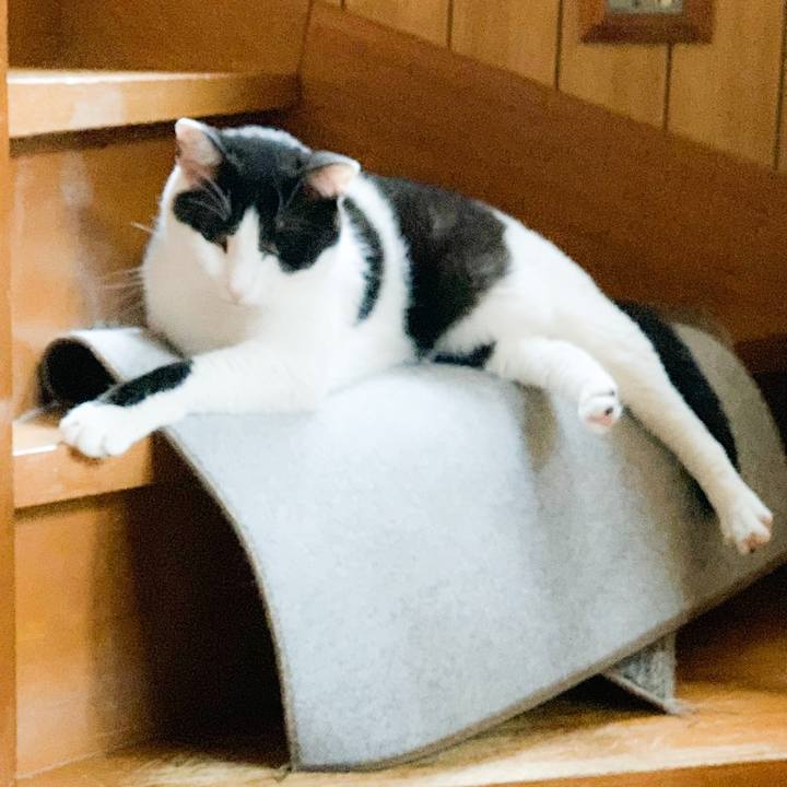 Abefe30d 1e96 41f6 8ece a7f5d1bae377 1566092714083