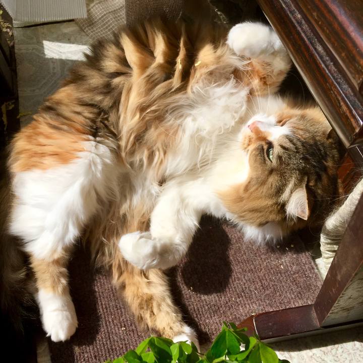 Abefefa8 c964 4922 a4ad 42ab21feecee 1554846929997