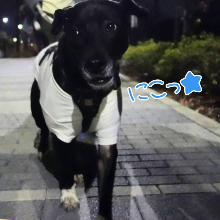 Abf03c64 b38c 46ad ac8a 4347cb216470 1640256442837