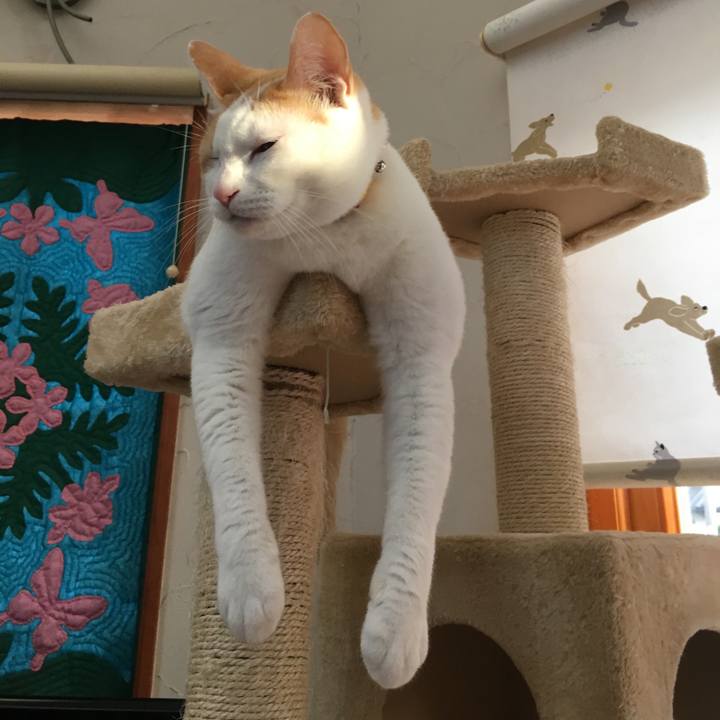 Abf04195 54d7 40c9 9a98 3a6bc0bf0c83 1510202861701