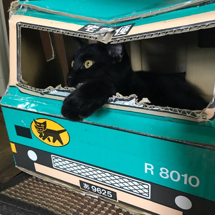 Abf059ae daee 4eaa aabd ee7954f34259 1529038989902