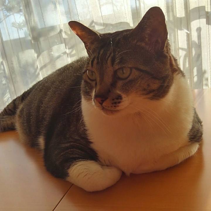 Abf089d8 6efb 40ed 9eb7 9f21e827142d 1509576844969