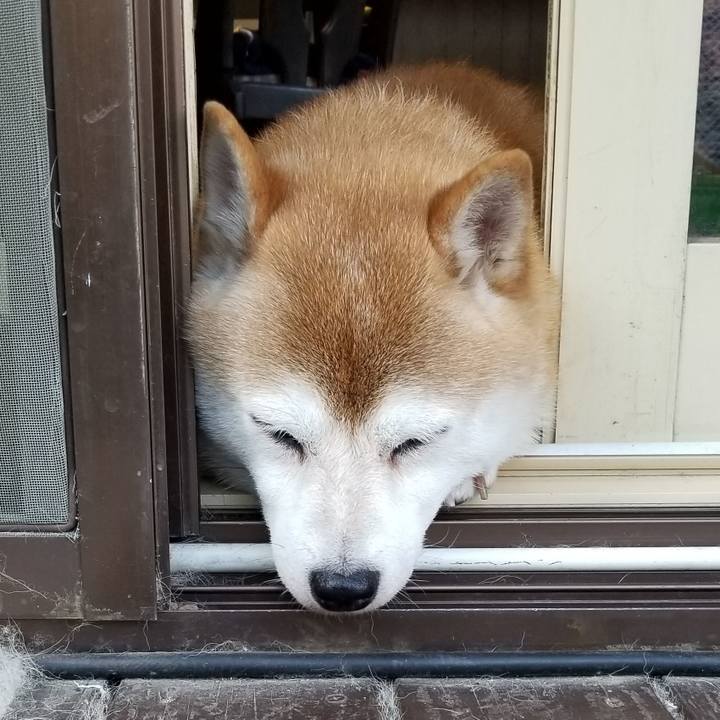 Abf0c1ee b260 4ec4 8191 2c579e6485b0 1627976133180