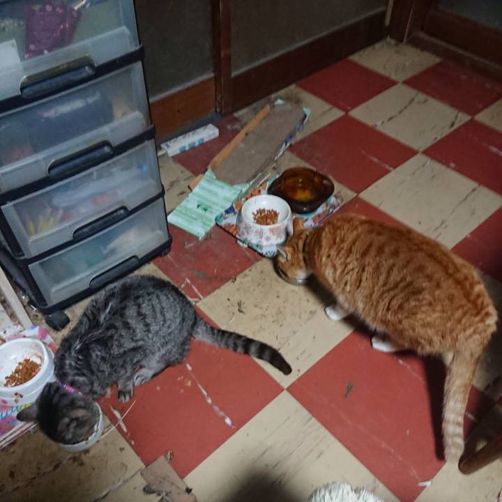 Abf0ce02 f11e 4868 beb3 06d412b63c8c 1580850729310