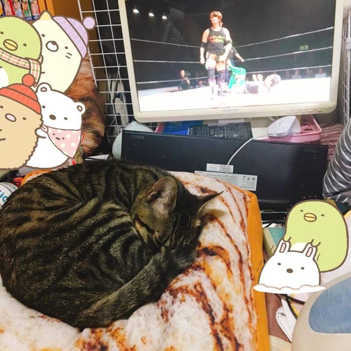 Abf0ce17 1a04 4019 aea4 12d0679eda32 1542422321056