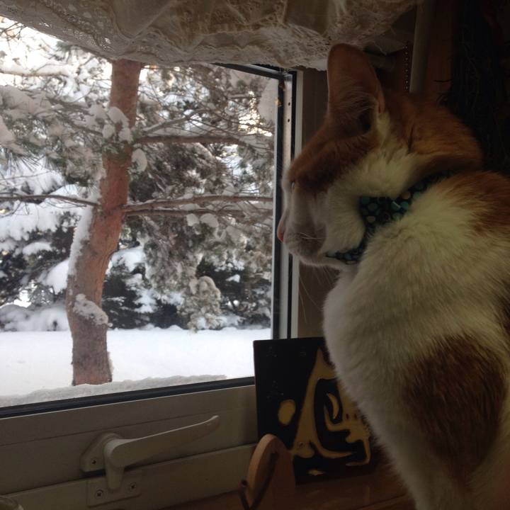 Abf0d659 3be9 4b98 8d7a d1f818dfcdc8 1517091278293