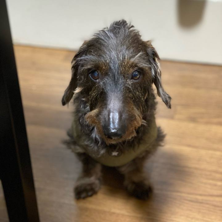 Abf0d6e4 28af 4895 8e65 5348ff45f57e 1613304245278