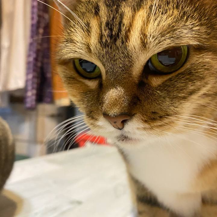 Abf0e8d5 48dc 4cc8 bc66 23b444bfe0d4 1637099231953