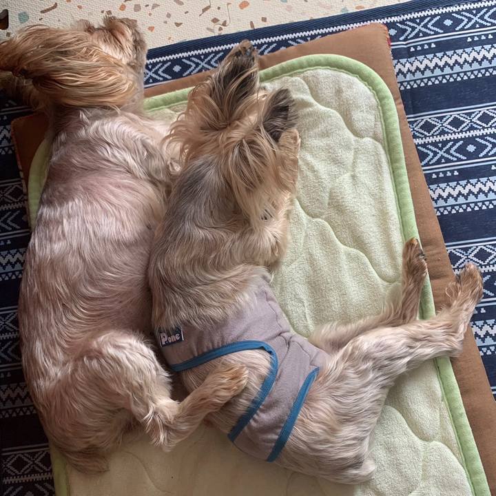 Abf13058 4477 496b ad6c 9fa033f455b0 1689415140253